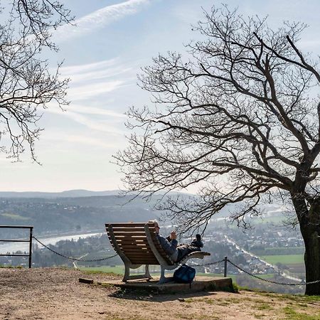 Studio-Loft Siebengebirge Westerwald Erpel Eksteriør billede